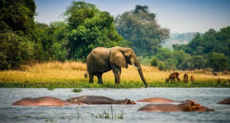 Which Is The Largest Wildlife Reserve In Uganda?
